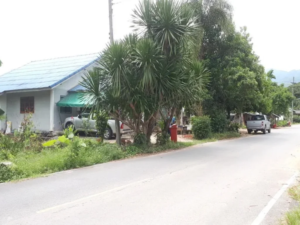 ที่ดิน บ้านหาดทราย ซค่ายลูกเสือจังหวัด ถโรงเหล็ก-พรหมคีรี-นครศรีฯ นบพิตำ นครศรีธรรมราช