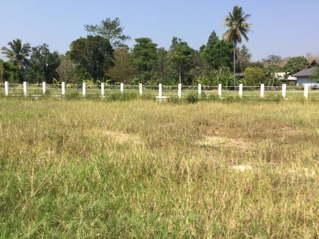 ขายที่ดินติดน้ำแม่ริม ห่างโรงเรียนเปรม 5 km