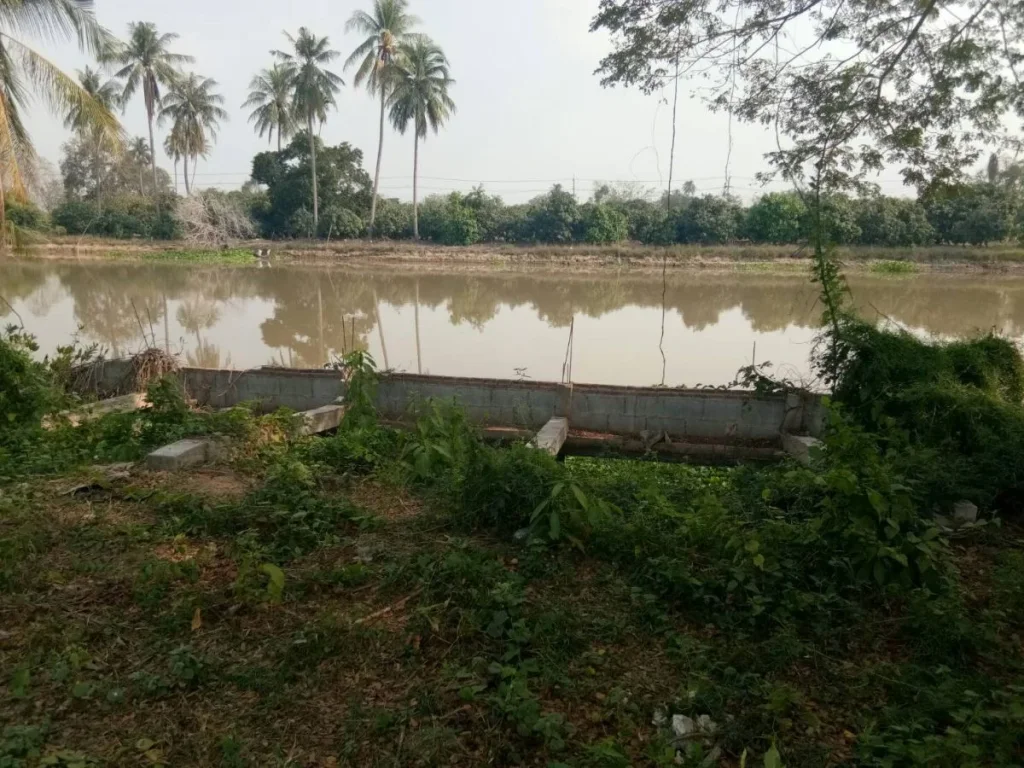 ขายที่ดินติดแม่น้ำท่าจีน ด้านหน้าติดถนนลาดยาง อสามชุก จสุพรรณบุรี