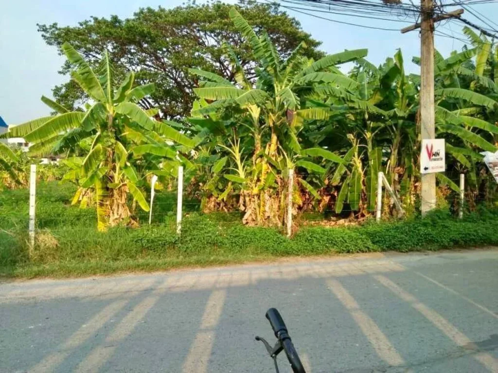 ขายที่ดินในเมืองเชียงใหม่ โซนเวียงบัว- สันติธรรม