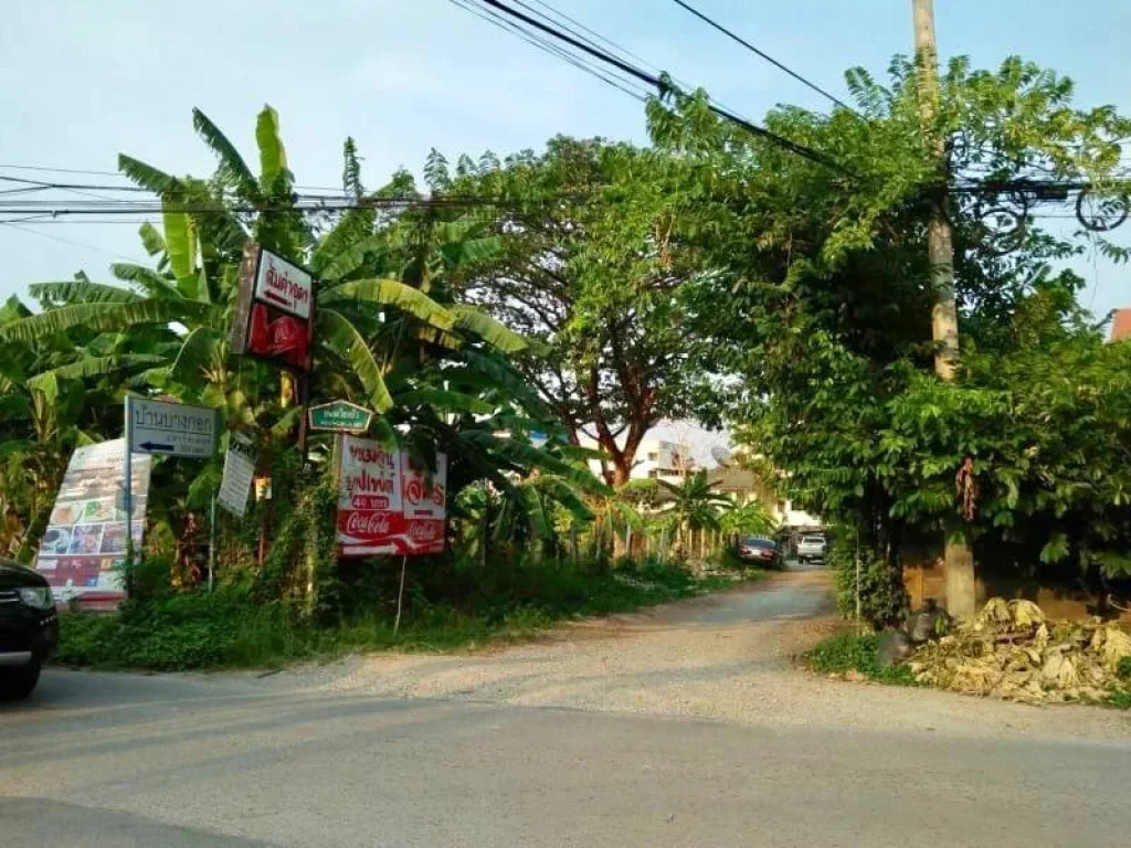 ขายที่ดินในเมืองเชียงใหม่ โซนเวียงบัว- สันติธรรม