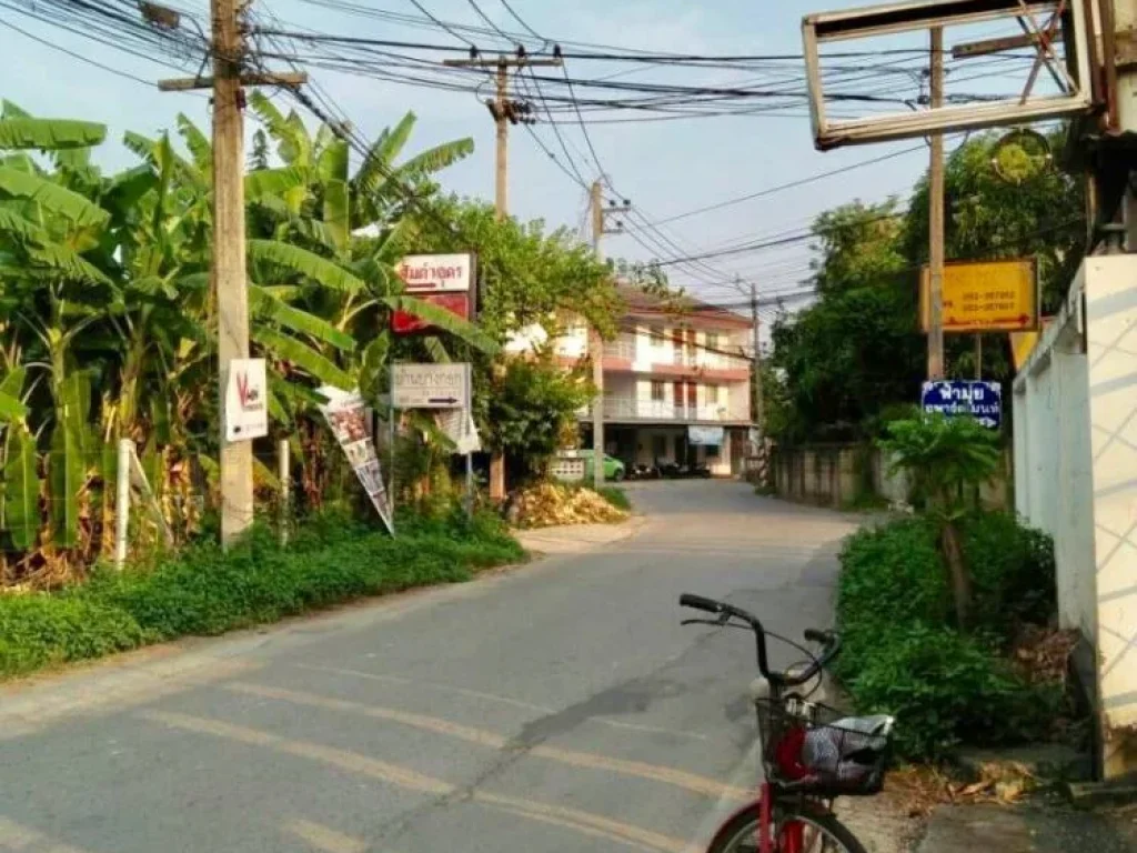 ขายที่ดินในเมืองเชียงใหม่ โซนเวียงบัว- สันติธรรม