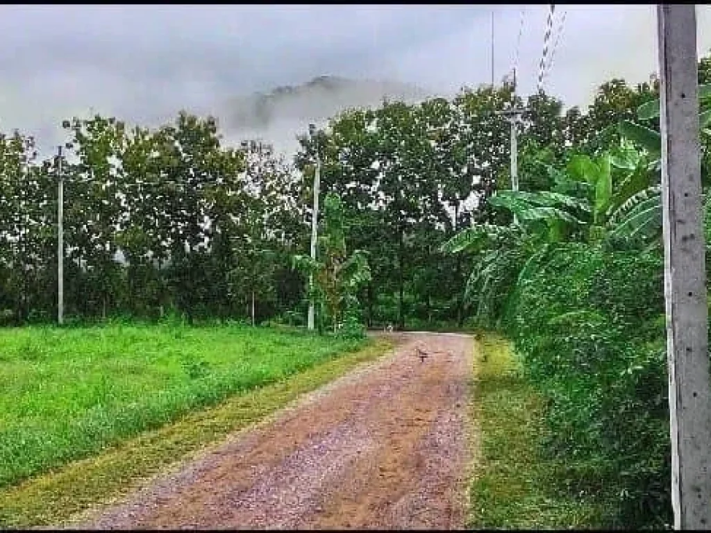 ขายที่ดินติดถ้ำเอราวัณ จเลย