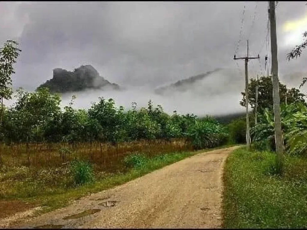 ขายที่ดินติดถ้ำเอราวัณ จเลย