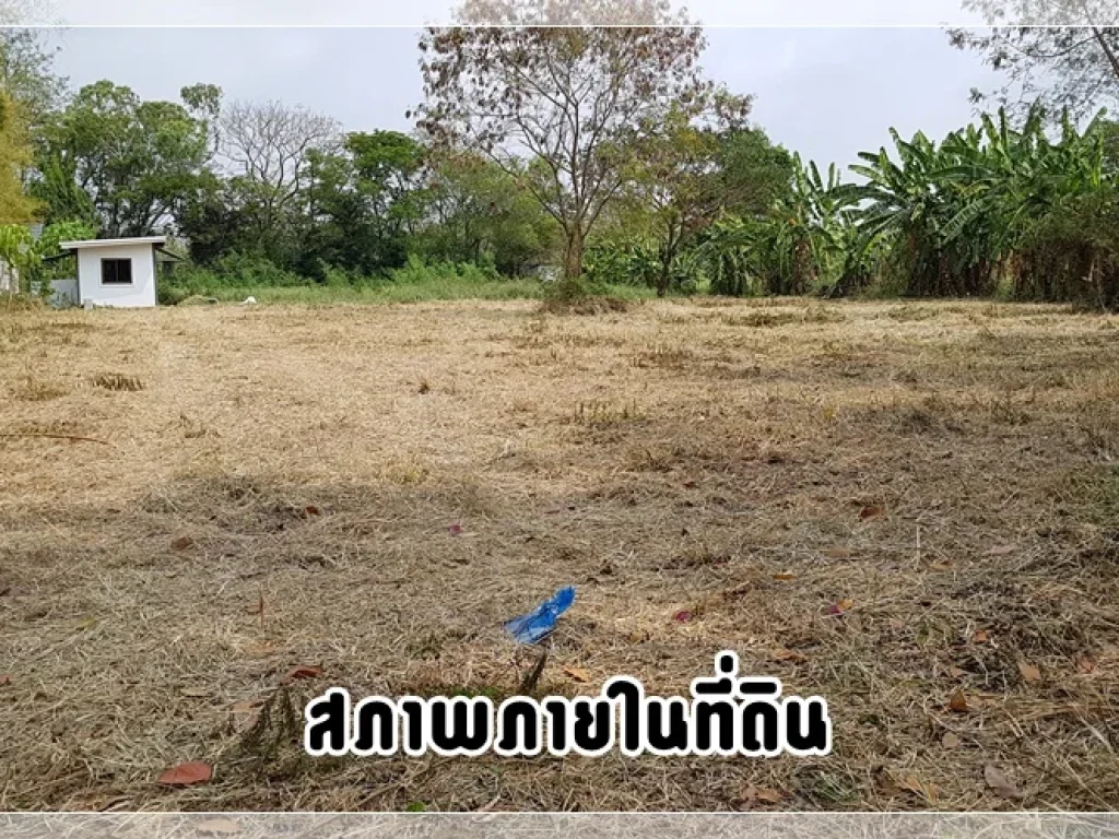 ขาย ที่ดินหมู่บ้านนวธานี ด้านหน้าติดถนนเมน ด้านหลังติดสนามกอล์ฟ