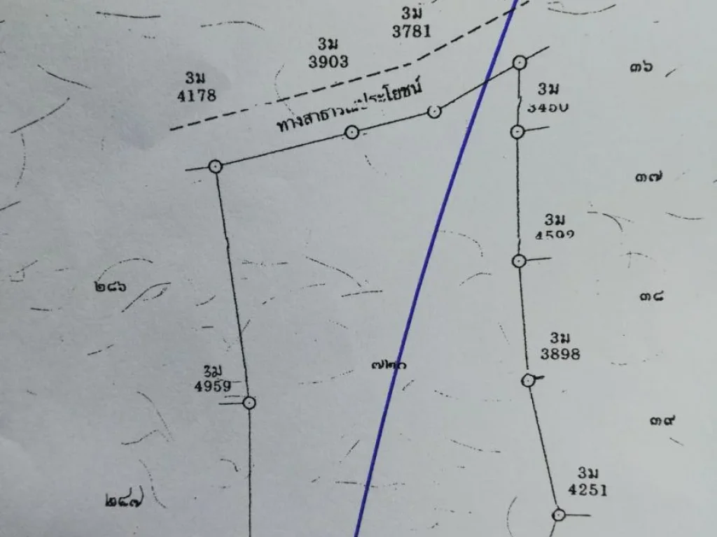 ต้องการขายที่ดิน 39 ไร่ที่โฉนด สว่างแดนดินขับรถ 10 นาทีถึงกลางเมืองสว่าง