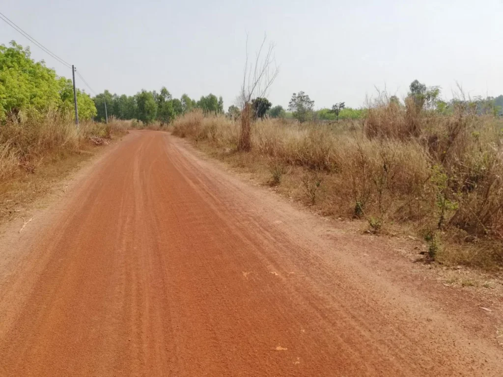 ต้องการขายที่ดิน 39 ไร่ที่โฉนด สว่างแดนดินขับรถ 10 นาทีถึงกลางเมืองสว่าง