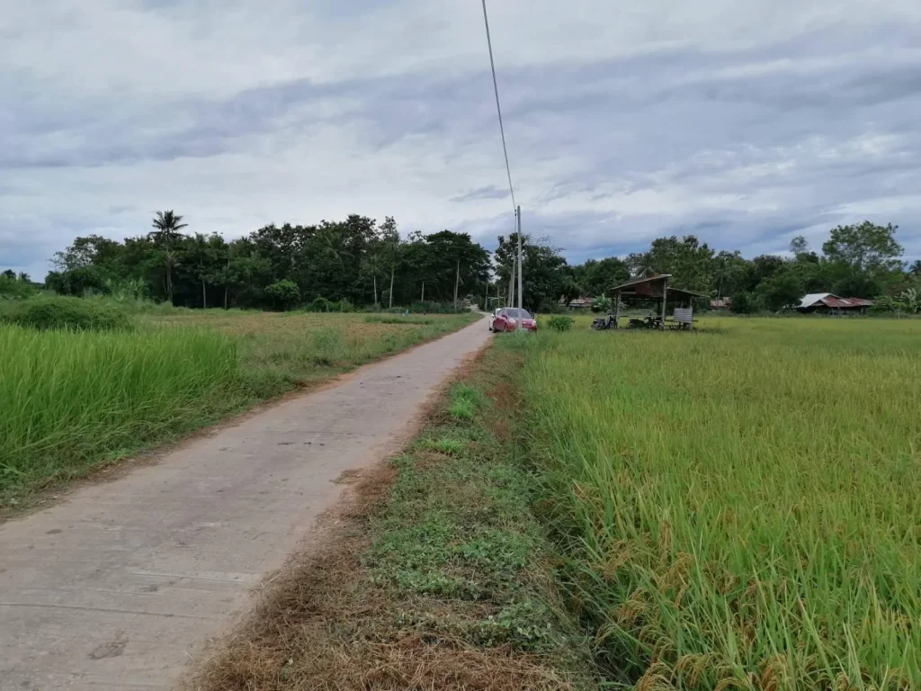 ขายที่ดินสวยๆสำหรับสร้างบ้านทำที่พักตากอากาศ โฉนด 2 ไร่ 2 งานเศษ อเชียงคาน จเลย