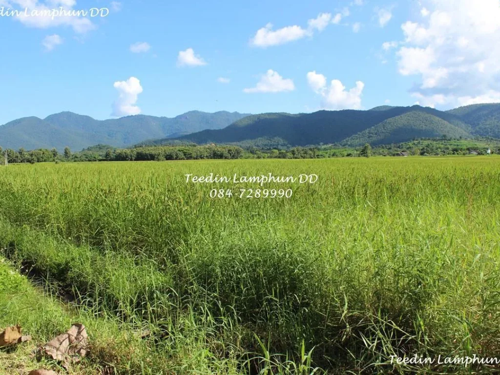 ขายที่แปลงสวย วิวภูเขา 360องศา ติดถนนดำ มีไฟฟ้า น้ำประปา