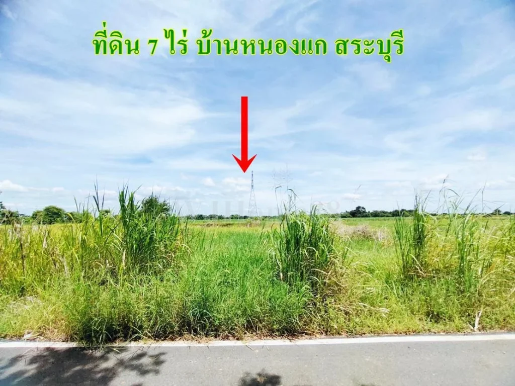 ขายด่วน ที่ดิน 7 ไร่ บ้านหนองแก จังหวัดสระบุรี