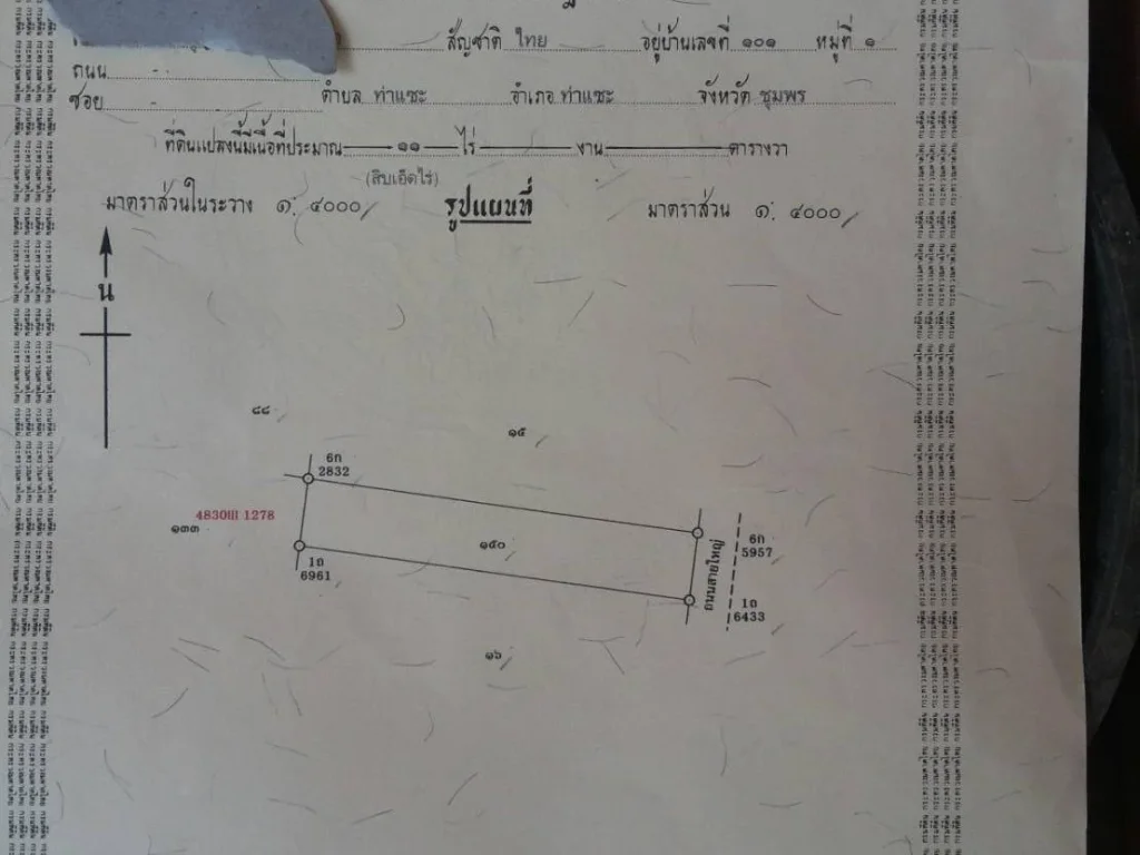 ขายที่สวนปาล์มท่าแซะ 11 ไร่ เอกสารโฉนด