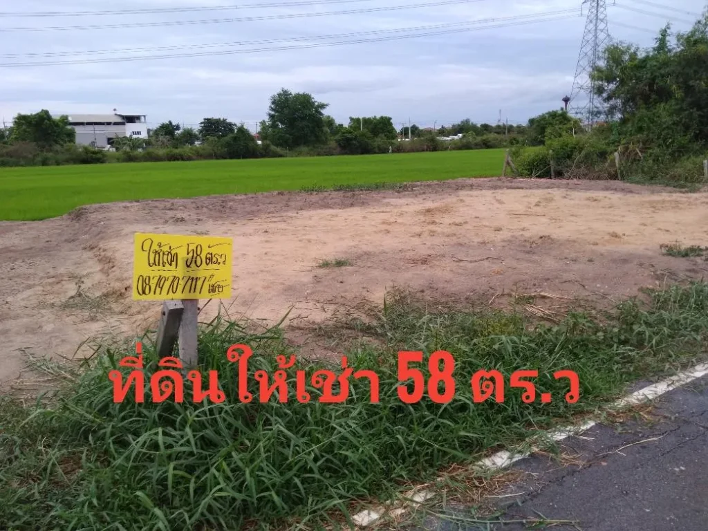 ที่ดินให้เช่า 58 ตรว อ ไทรน้อย จนนทบุรี เดือนละ 5000-