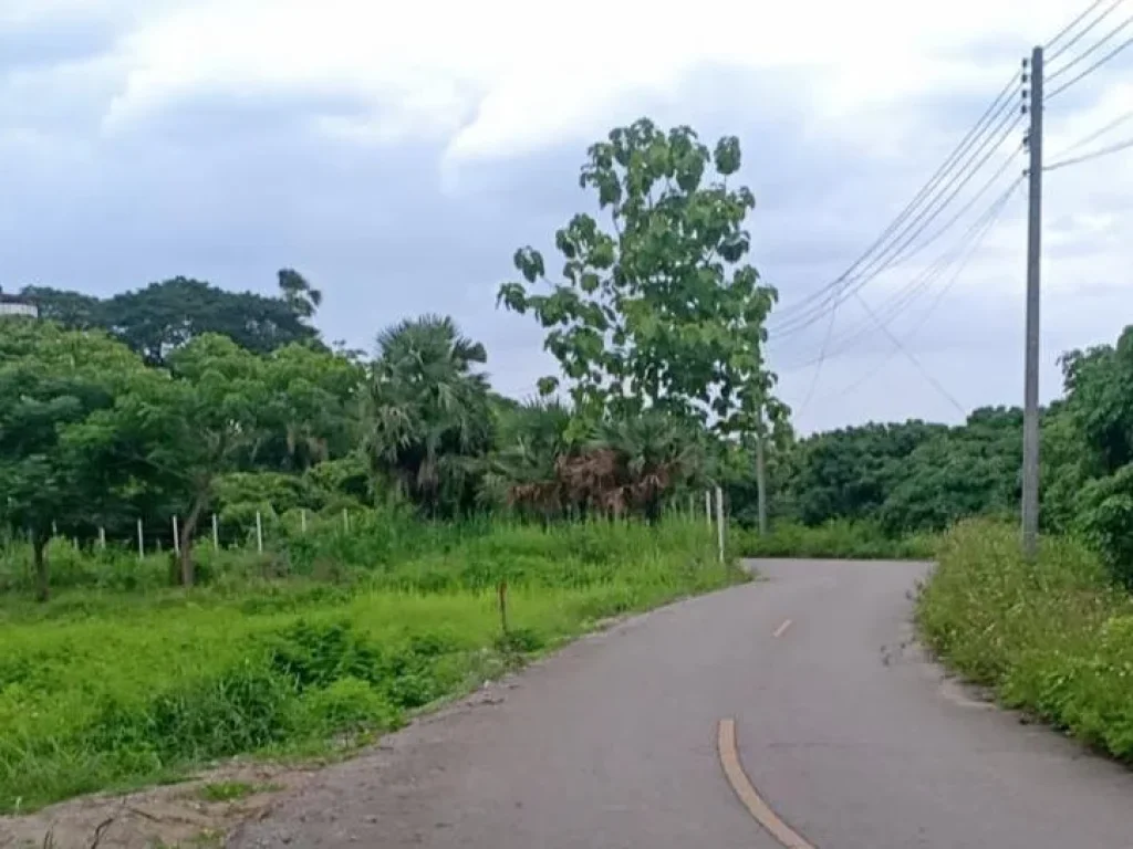 ขายที่ดินติดถนนขุนคงบ้านถวายค้าขายได้ ราคาพร้อมโอน