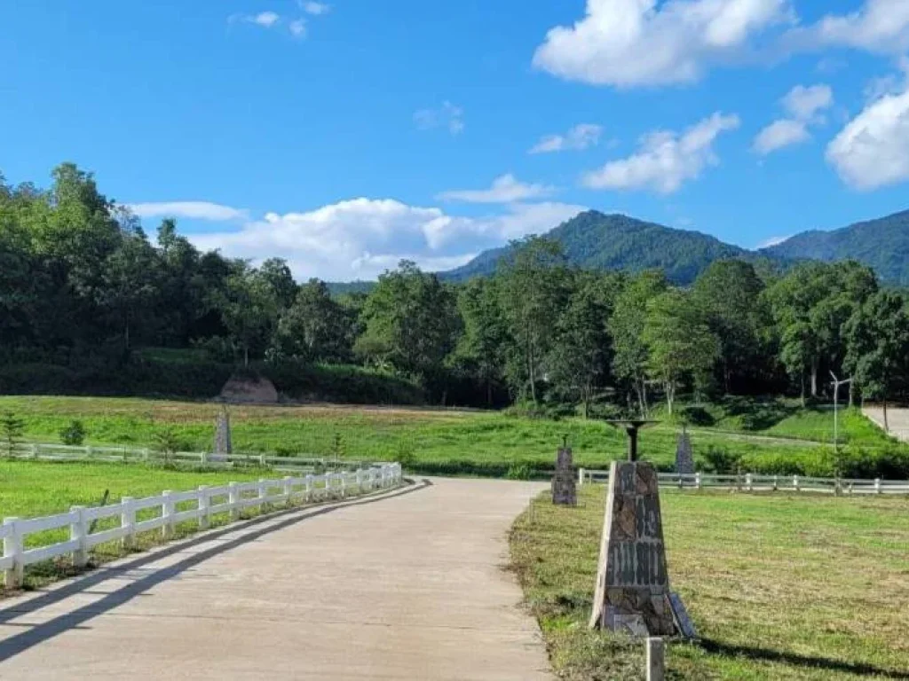 ขายที่ดินบ้านปงหางดง ถนนคอนกรีต วิวดอย ธารน้ำไหลผ่าน