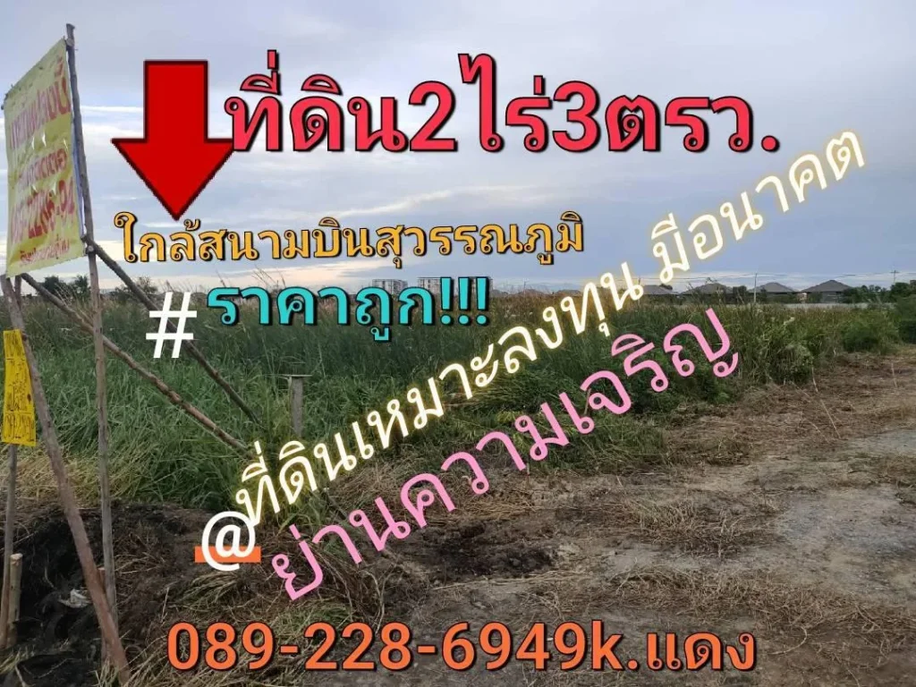 ขายที่ดิน 2ไร่ 1งาน 54ตรว954ตรวราคา7900ตรว