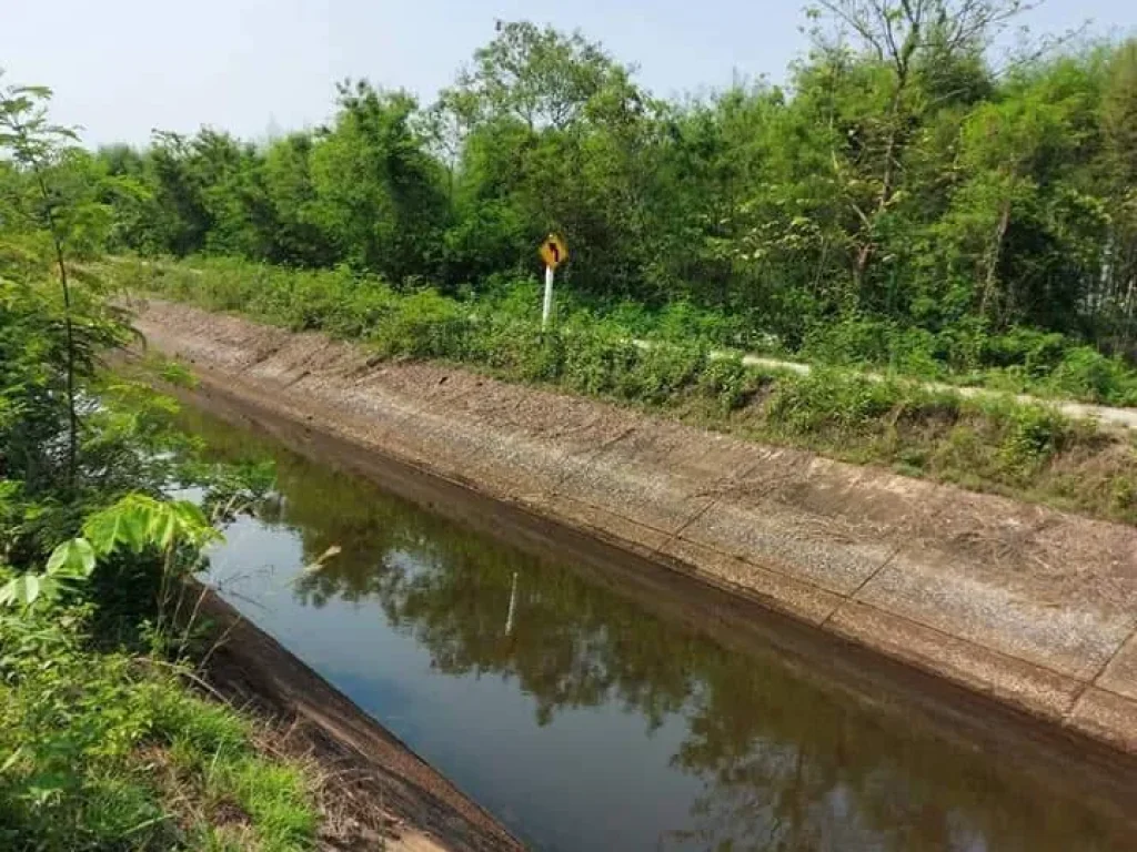 ขายที่ดินดอยสะเก็ตป่าป้อง ติดเลียบคลองชลประทาน