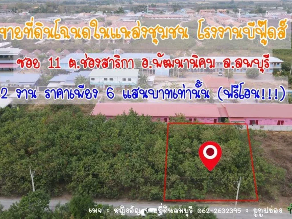 ที่ดินเนื้อที่ 200 ตรว อพัฒนานิคม ลพบุรี ใกล้ชุมชน ตลาด เพียงงานละ 300000 เท่านั้น