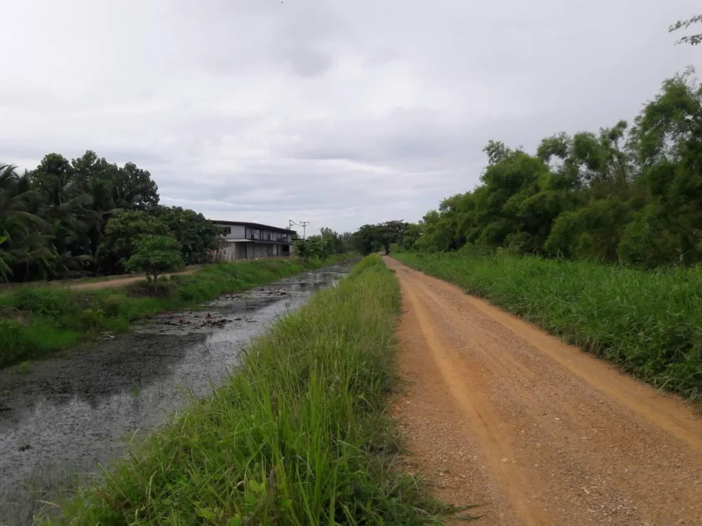 ขายที่ดิน20ไร่ บึงบอน51ถนนรังสิต-นครนายกเลียบคลอง8 จ ปทุมธานี