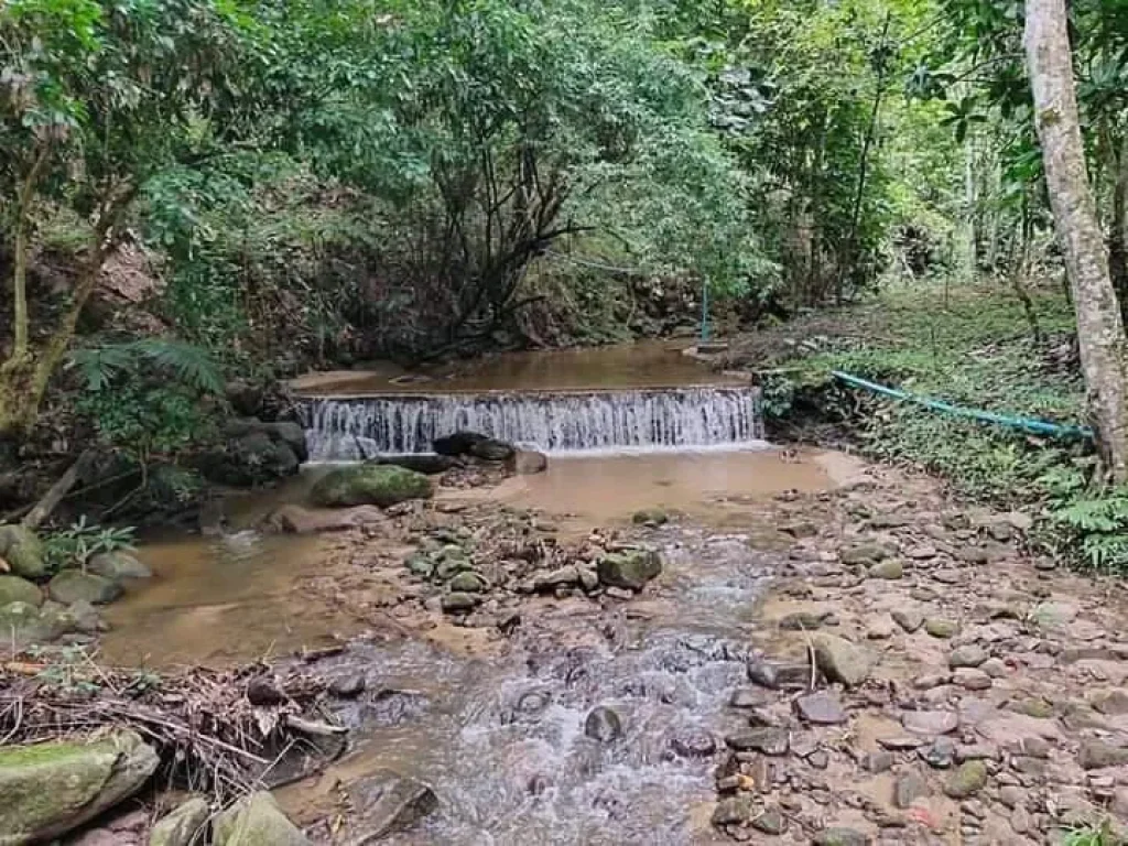 ขายที่ดินติดลำธารน้ำ พร้อมบ้านพัก เอกสารสิทธิ์