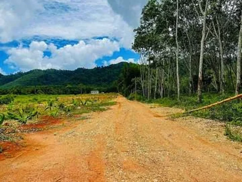 ขาย ที่ดิน สวน 17 ไร่ ติดคลองวังโตนด จันทบุรี