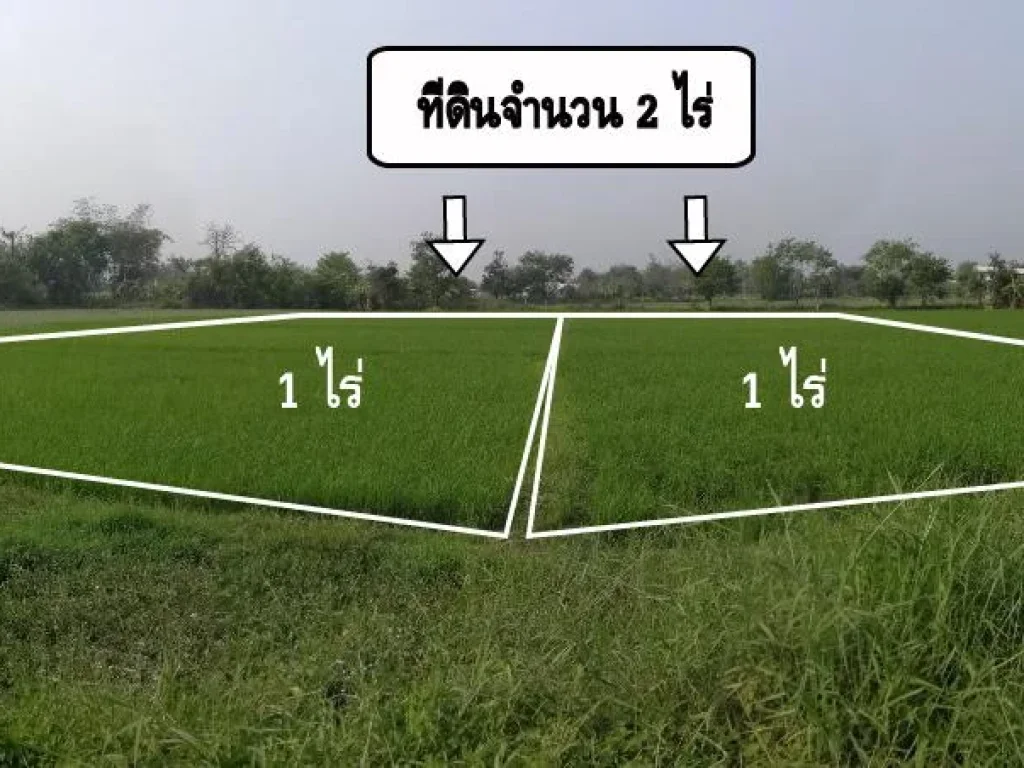 ขายที่ดิน 2ไร่ ไกล้รพฝาง 3 กิโล