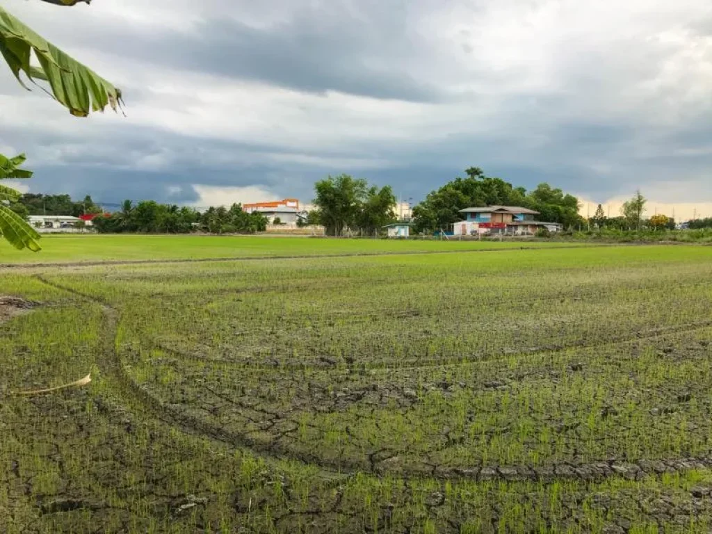 ด่วนขายที่ดินถูกๆ 3 ไร่ หนองเพรางาย ไทรน้อย