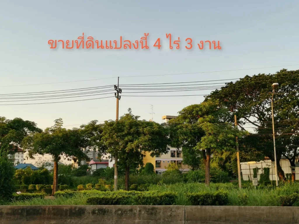 ขาย ที่ดินเปล่า ติดถนนประเสริฐมนูกิจ