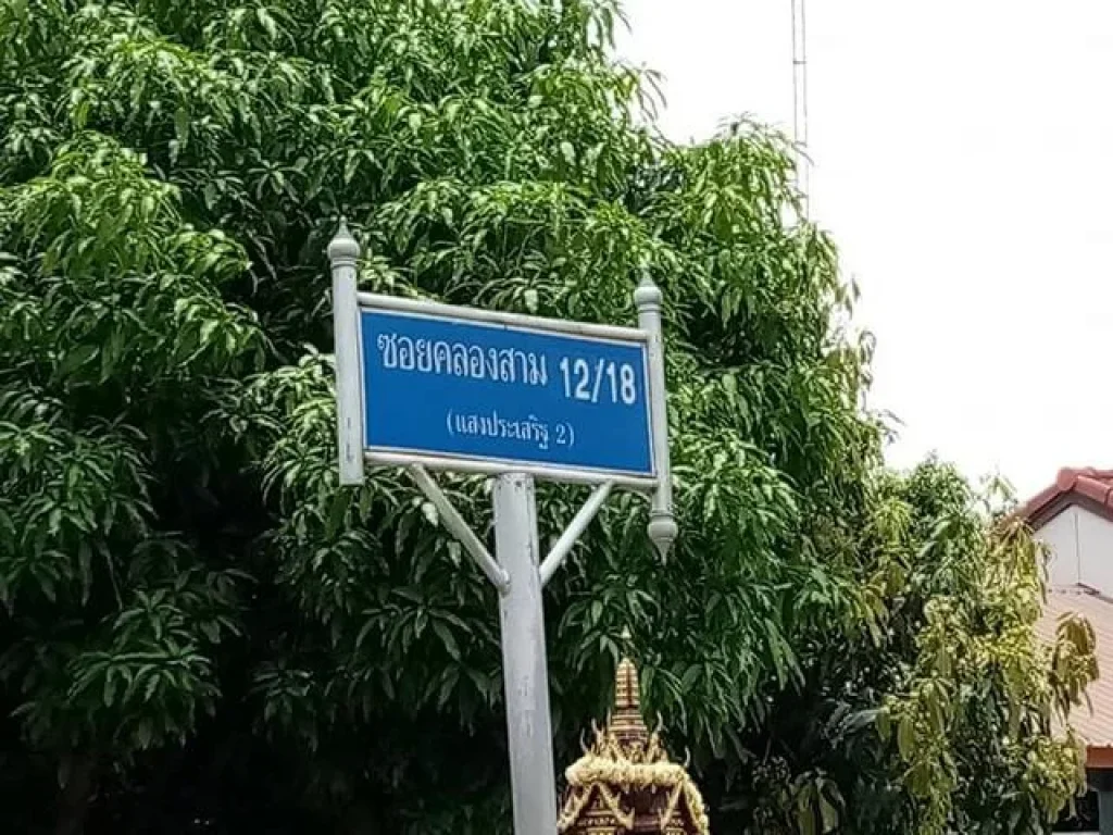 ขายด่วนที่ดิน 5 ไร่ ซ1218 คลองสาม ปทุมธานี