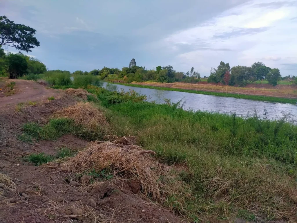 ขายที่ดินติดแม่น้ำท่าจีน 11ไร่ไร่ละ19ล้านหน้าติดถนนทางหลวง3351 อสองพี่น้อง จสุพรรฯเหมาะทำตลาดน้ำรีสอทริมแม่น้ำ