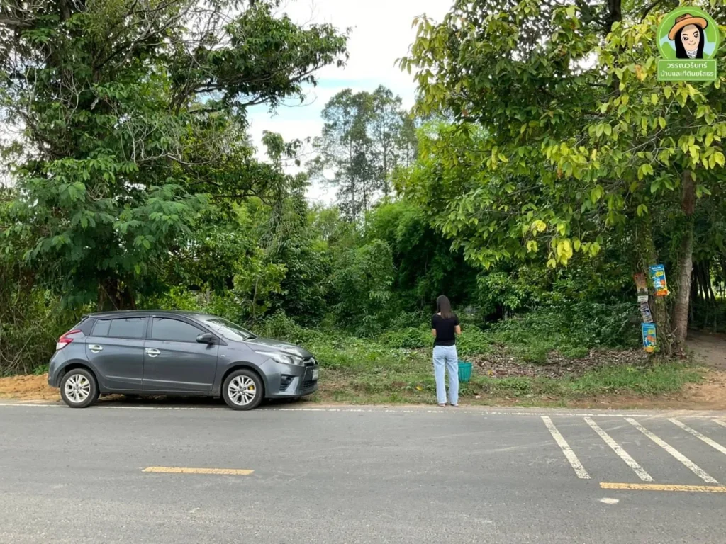 ที่ดินสร้างบ้านห่างแจ้งสนิท 100 เมตร บ้านหนองไฮหนองขอน