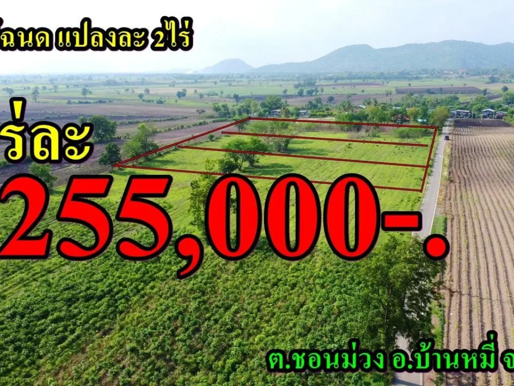 ที่ดิน โฉนด แปลงละ 2 ไร่  ตชอนม่วง อบ้านหมี่ จลพบุรี ขายไร่ละ 255000