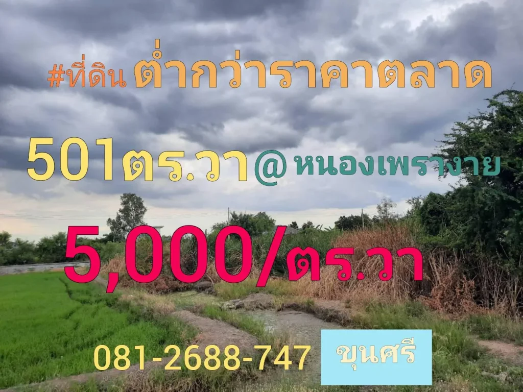 ขายต่ำกว่าราคาตลาด ที่ดิน 501 ตารางวา ติดถนนลาดยาง ไฟฟ้า-ประปา ผ่านหน้าที่ดิน ตำบลหนองเพรางาย อำเภอไทรน้อย จังหวัดนนทบุร