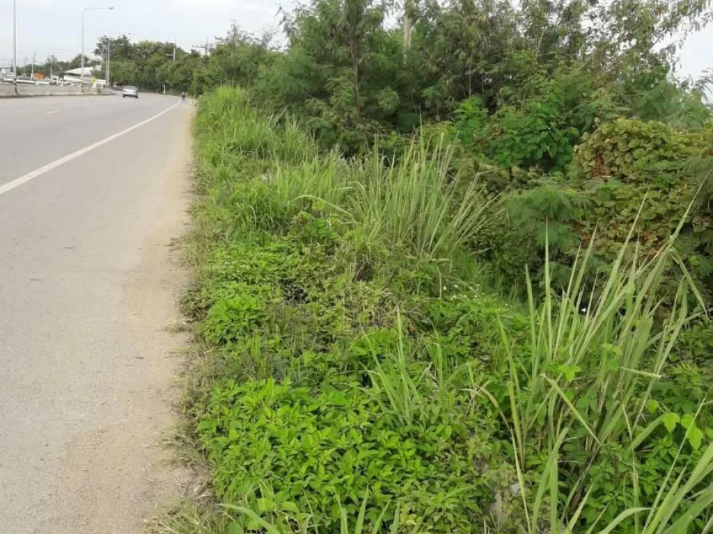 ขายที่ดินติดถนนคันคลองชลประทานน้ำแพร่ พร้อมโอน