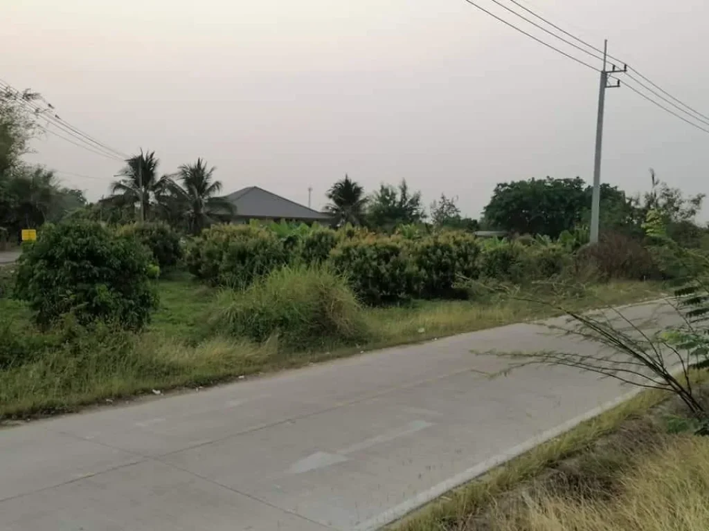 ขายที่ดินติดถนนบ้านทุ่งปี้สันป่าตอง พร้อมโอน