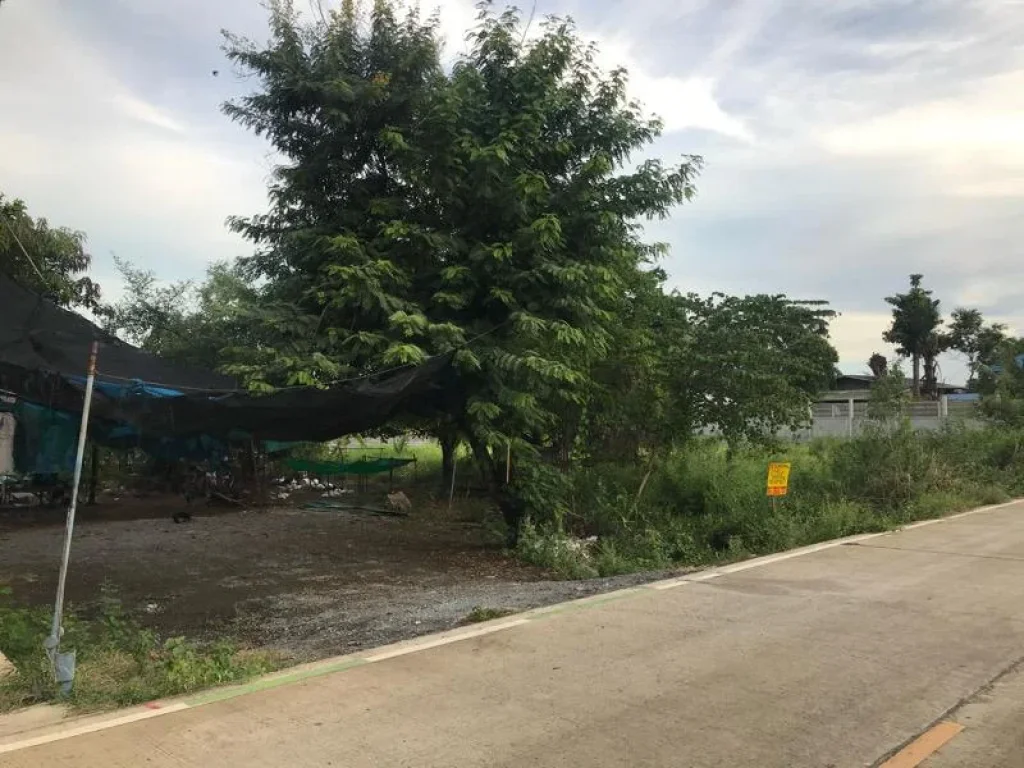 ขายที่ดิน 135 ตรว ติดถนนคอนกรีต ซปูนปั้น อไทรน้อย