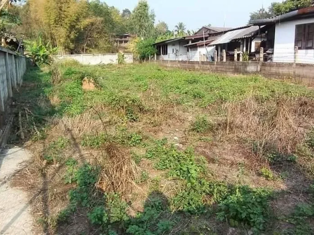 ขายที่ดินสันโป่งแม่ริม ใกล้วัดสระฉัททันต์ พร้อมโอน