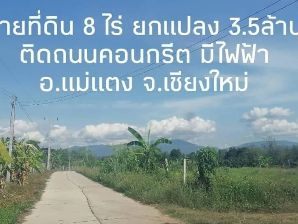 ที่ดินขายถูกมากๆแม่แตงเชียงใหม่8ไร่ขาย35ล้าน