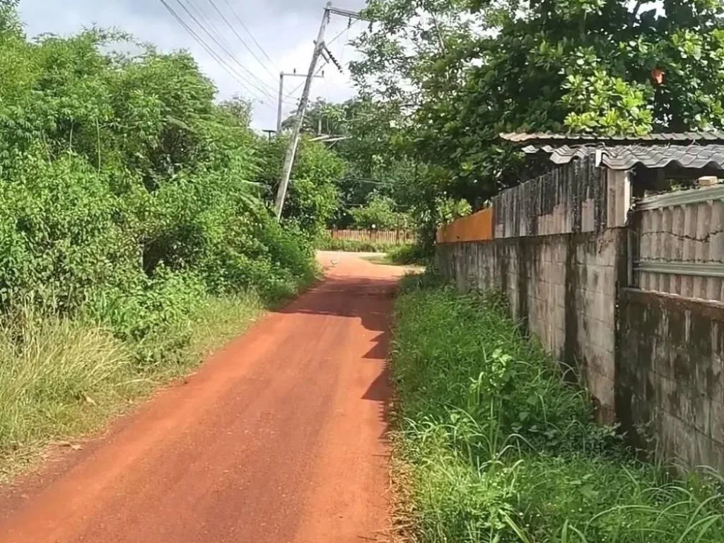 ขายที่ 3 ไร่ ในซอยตรงข้ามสวนเบญจพรรณ บ้านมะขามป้อม