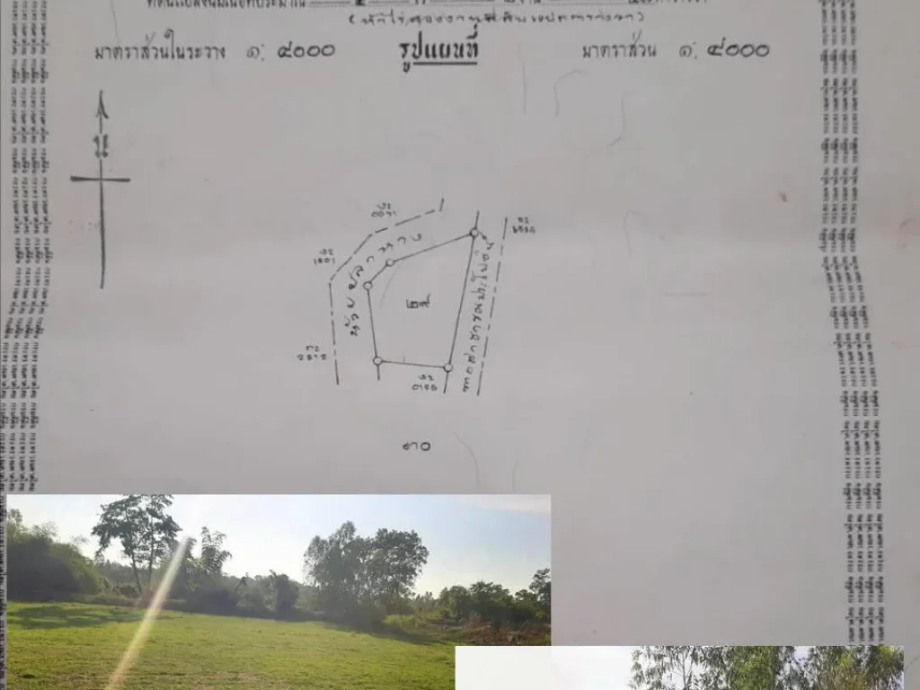 ขายถูกๆ ที่ 11 ไร่ เพียง 480000 บาทเท่านั้น