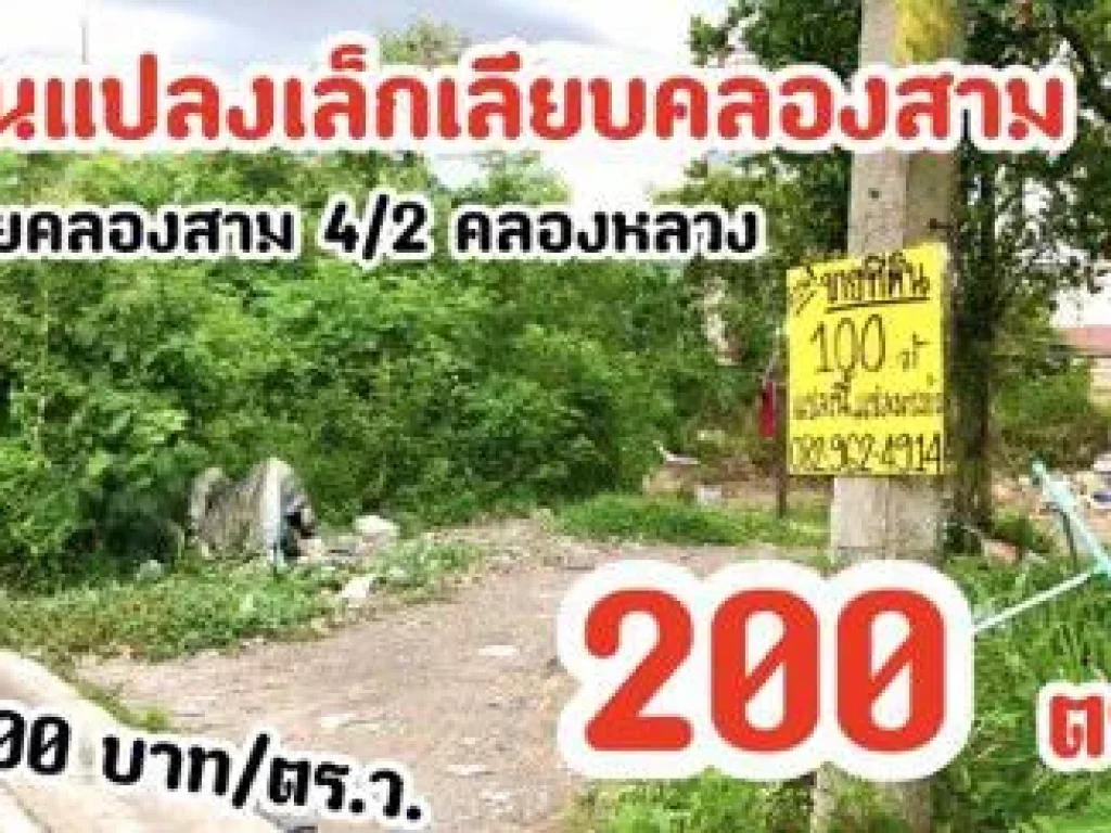 ขายที่ปลูกบ้าน ปทุมธานี 200 ตรว ใกล้แหล่งชุมชน ใกล้ quotดรีมเวิลด์quot KINGDOM