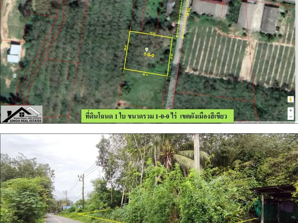 ขายที่ดินสวนยาง 1-0-0ไร่ ป่าครองชีพ ผังสีเขียว