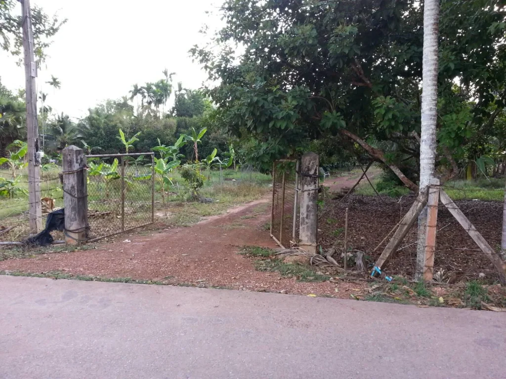 ที่สวนผลไม้ ห่างจากถนนสุขุมวิท 200 เมตร หน้าสวนติดถนนคอนกรีต