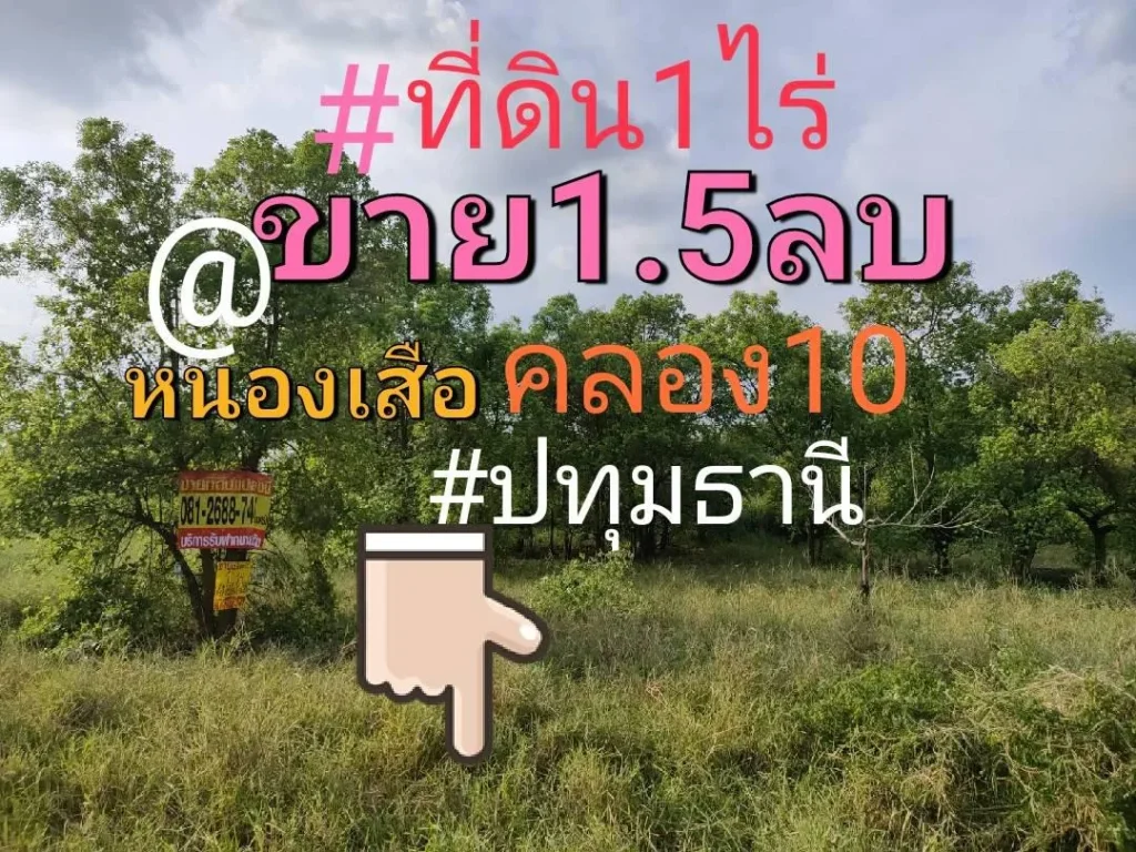 ขายที่1ไร่ วิวธรรมชาติราคาถูกๆที่ดินรูปแปลงสวย 15ล้านบาทไร่