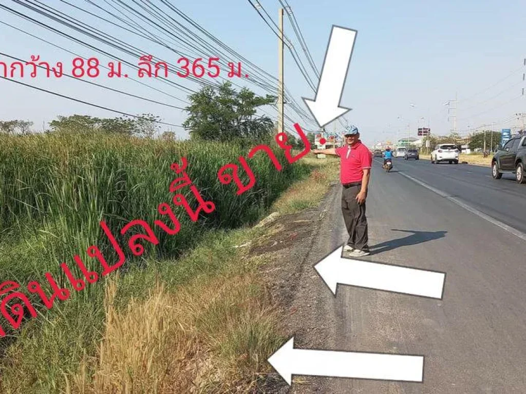 ที่ดินติดถนนมิตรภาพ โซนจอหอ ตรงข้ามจุดพักรถต้นสน 