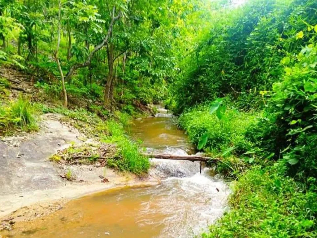 ขายที่ดินจอมทองบ้านหลวง ติดน้ำดอยตลอดปี ราคาถูก