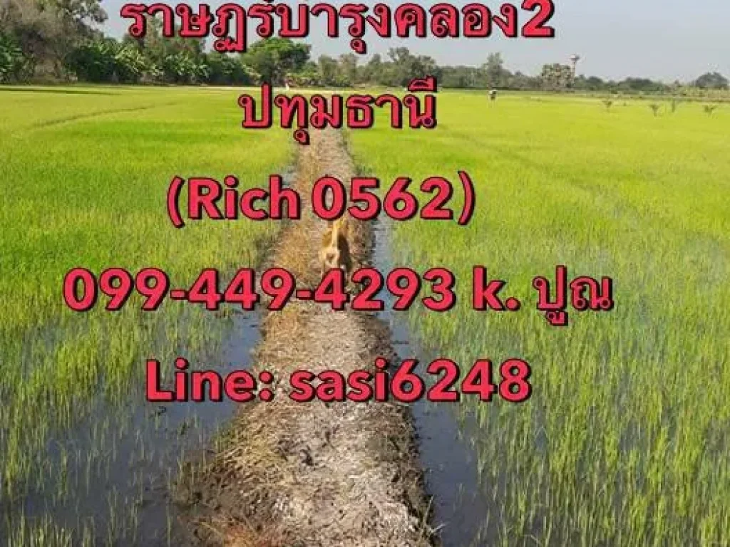 ขายที่ดินสวย ตรงข้ามวัดราษฏร์บำรุงคลอง2 Rich 0562 มีคลองชลประทานกั้น เขตหนองจอก ปทุมธานี