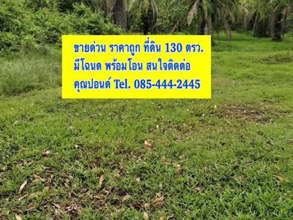 ขายด่วน ที่ดินราคาถูก 130 ตรว 430000 บาท อพุนพิน จสุราษฎร์ธานี เจ้าของขายเอง ที่ดินมีโฉนด