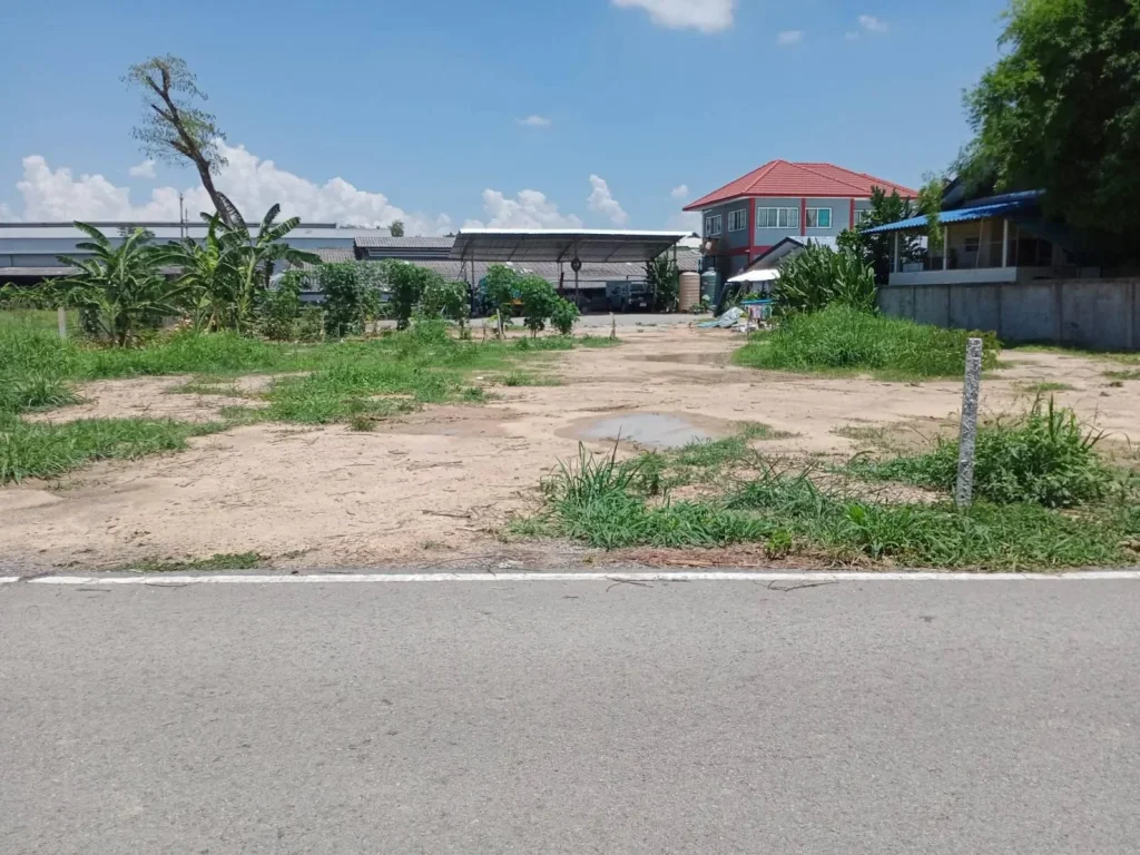 ขายที่ดินติดถนนหนองผึ้งสารภี ติดถนนค้าขายได้