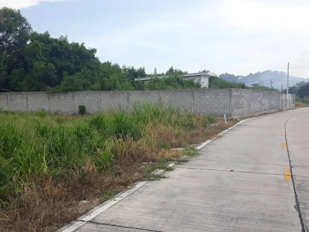 ที่ดิน 3 ไร่ หนองข้างคอก ใกล้สถานีรถไฟฟ้าชลบุรี