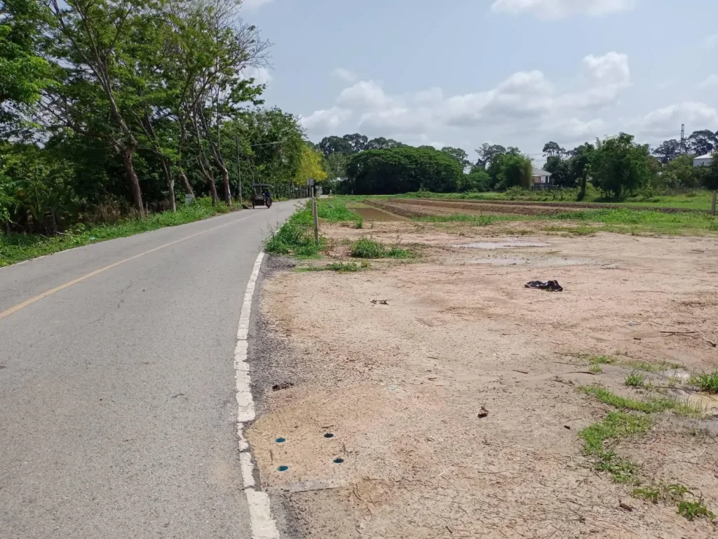 ขายที่ดินติดถนนบ้านเสาหิน หนองผึ้งสารภี ค้าขายได้